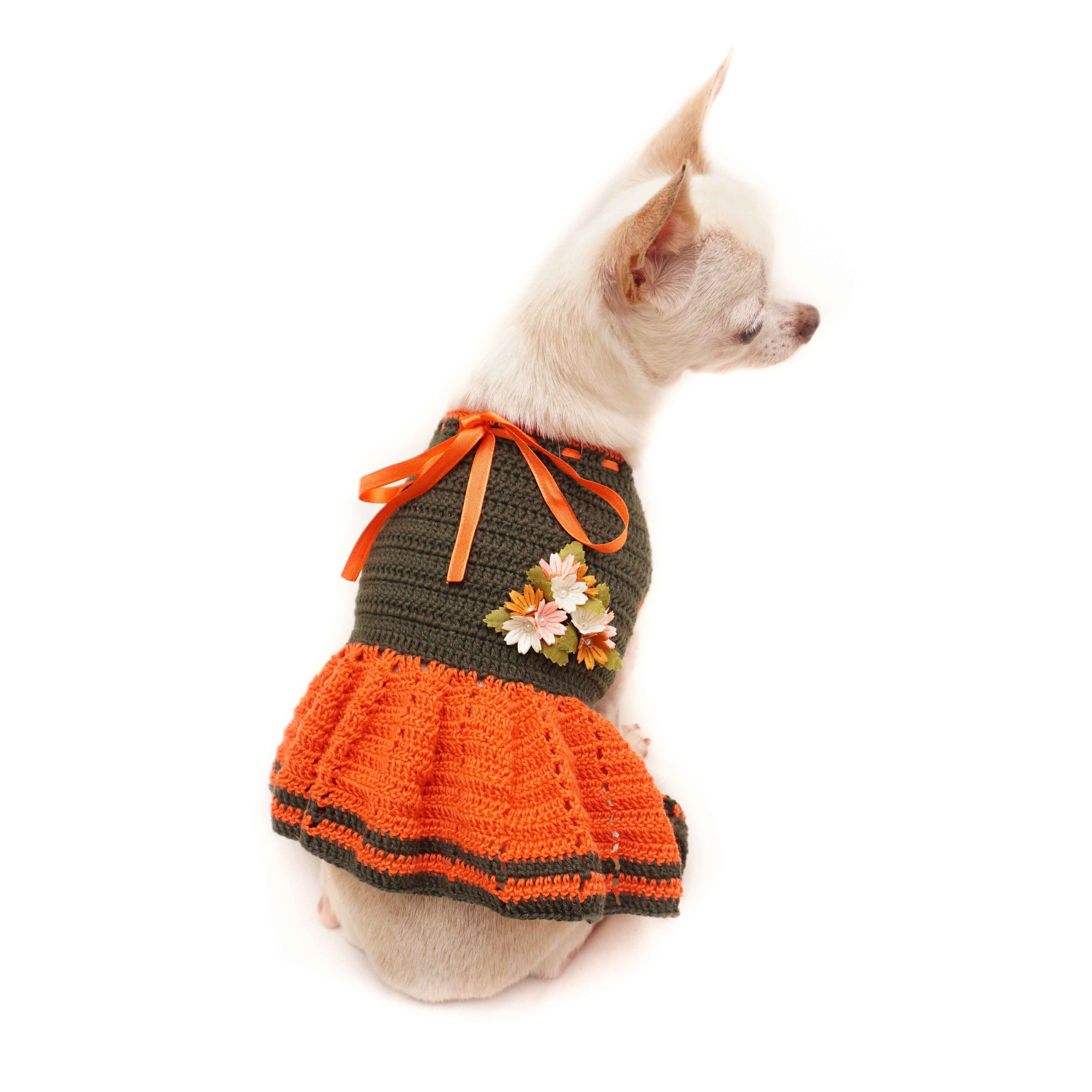 spring dog clothes