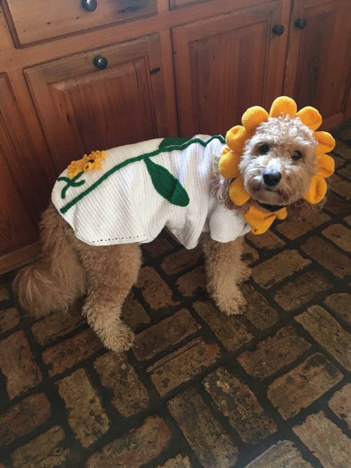 Sunflower Dog Costume Cute Halloween Costume for Pets Sun Etsy