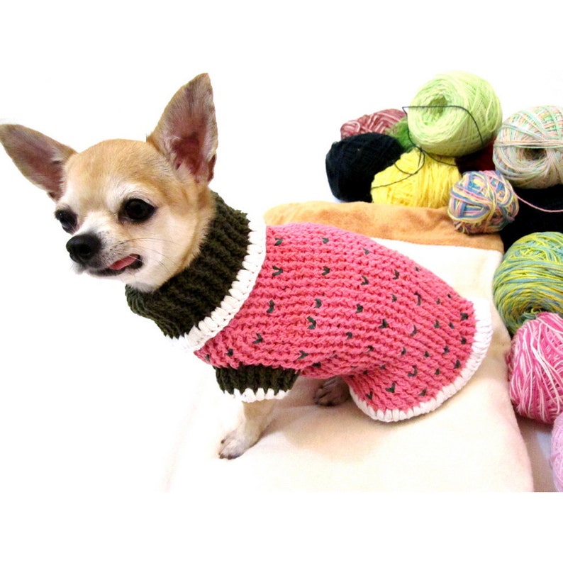 Strawberry Shortcake Dog Sweaters Teacup Chihuahua Clothes Etsy