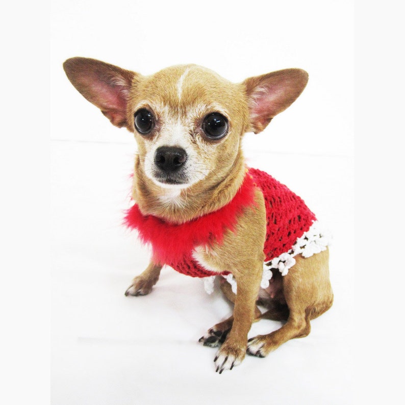 Fancy Dog Dresses Fur Crystal Pet Costumes Cute Teacup Chihuahua Clothes Crochet Designer Dogs Myknitt DF10 Free Shipping image 4