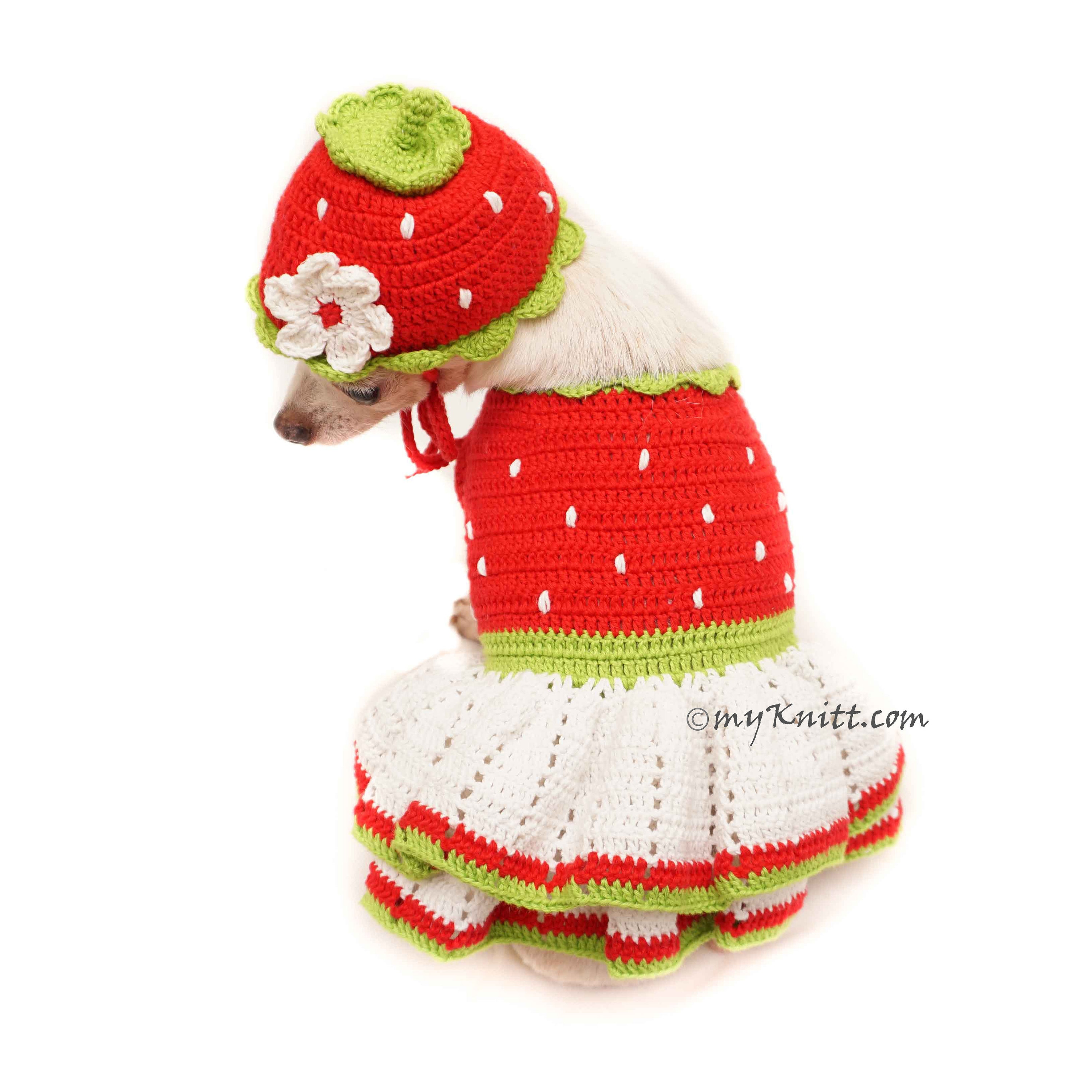 Red Strawberry Dog Costume Strawberry Dog Hat Crochet Etsy
