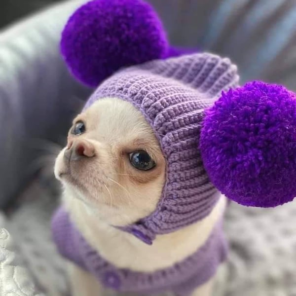 Purple Dog Clothes, Cute Bunny Dog Clothes with Pom Pom Dog Hat, Knit Bunny Dog Sweater, Dachshund Clothes, Chihuahua Clothes Myknitt DF135