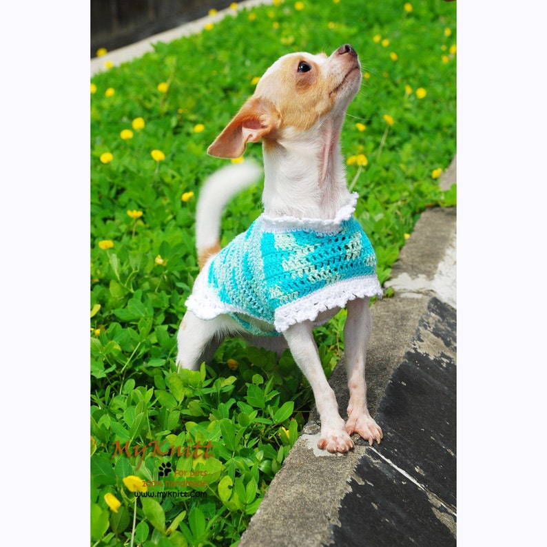 Summer Dog Clothes DK819 Myknitt Dog Coats Small Dachshund Clothes Chihuahua Clothes Turquoise Dog Dress Teal Dog Clothes Crochet