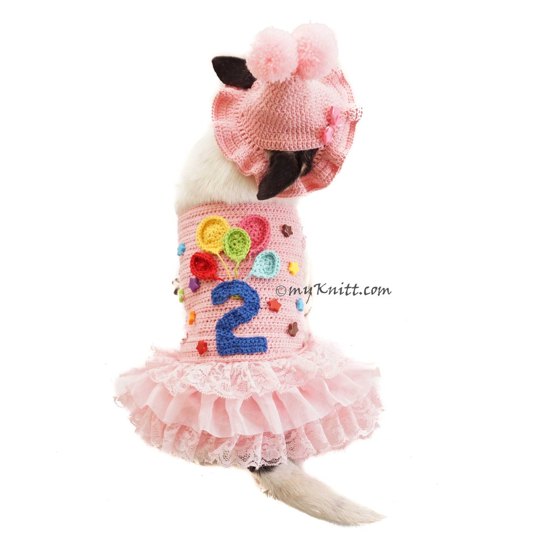 Pink Dog Dress Birthday Pet Birthday Party Costume Crochet Etsy