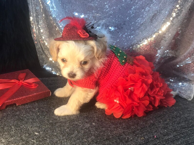 Red Christmas Dog Dress With White Fur Christmas Tree, Dog Clothes