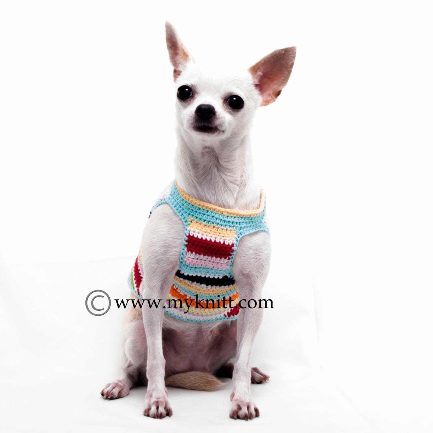 Rainbow Teacup Dog Clothes Cute Chihuahua Sweater Pet Etsy