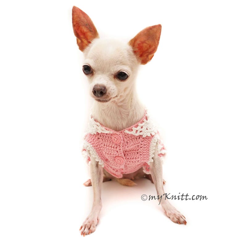 SMALL DOG - Frilly Pink Doggy Dress main image 0