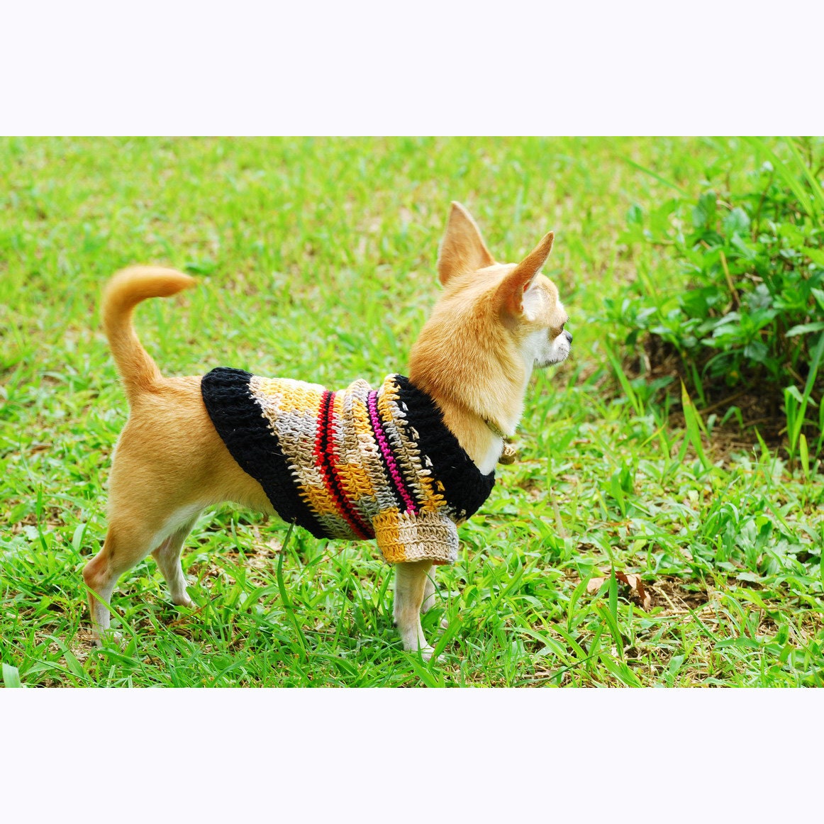 Personalized Chihuahua Clothes Teacup Dog Clothing Dog Etsy UK