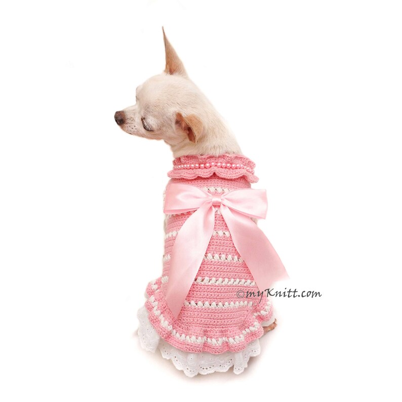 Baby Pink Dog Clothes Lace Lace Dog Dress Hand Crochet Dog Etsy
