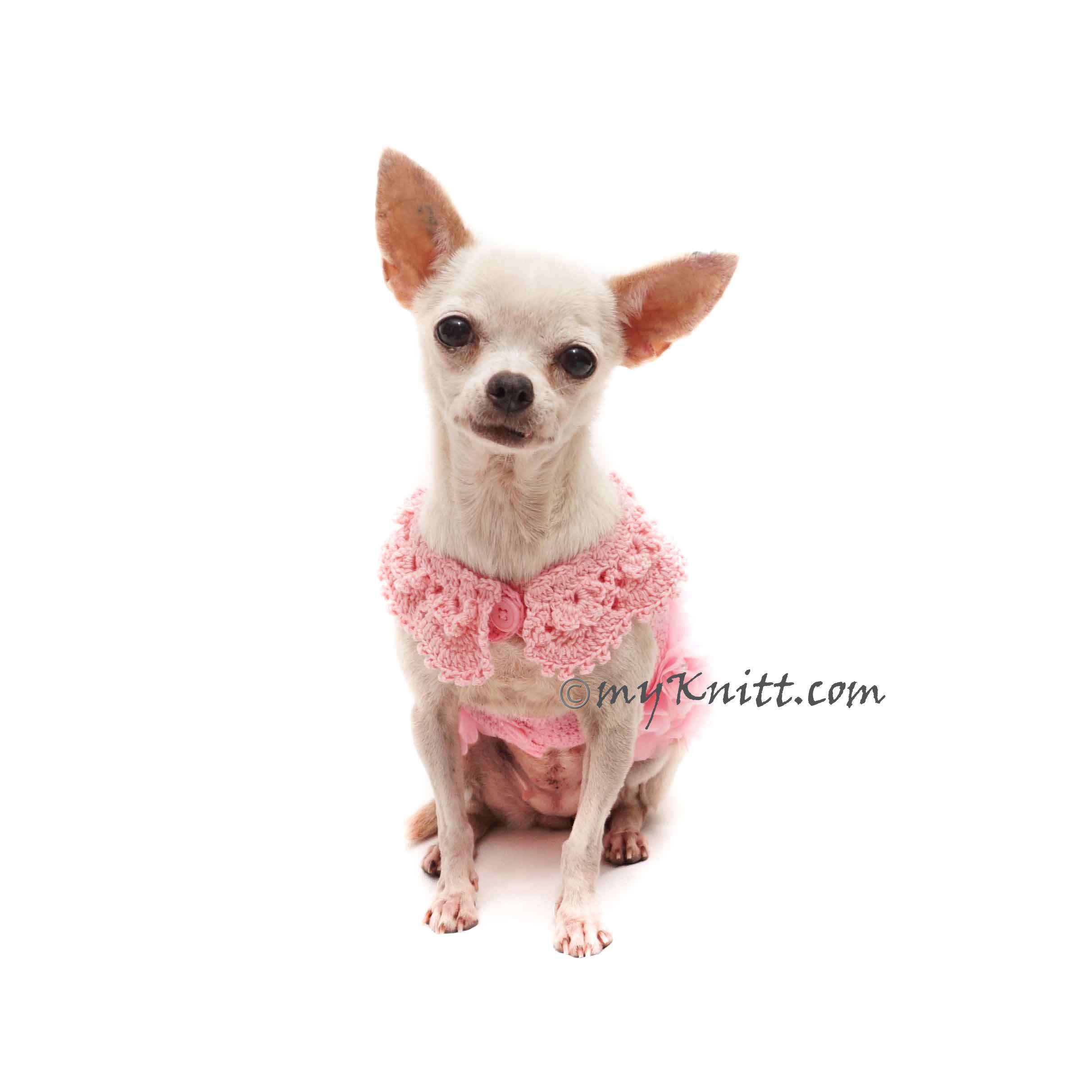 SMALL DOG - Polka Dot Baby Pink Dog Dress main image 0
