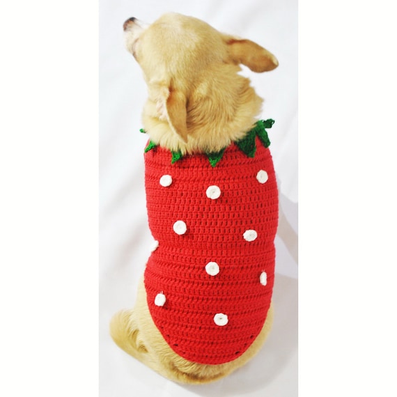 Teacup chihuahua cheap clothes xxs