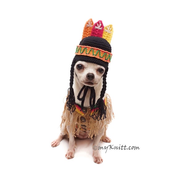 Dog Indian Costume