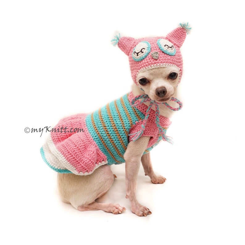 Dog Owl Costume
 Owl Dog Costume Owl Dog Hat Pink Turquoise Owl Dog Clothes Etsy