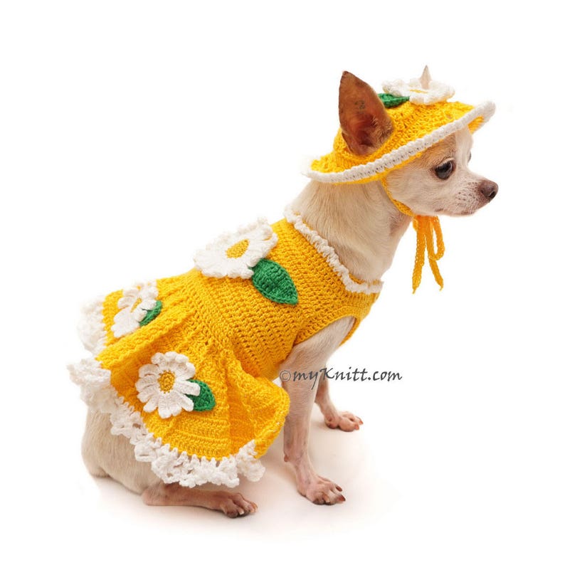 Cute Dog Clothes Yellow Fun Dog Dress Crochet Chihuahua Etsy