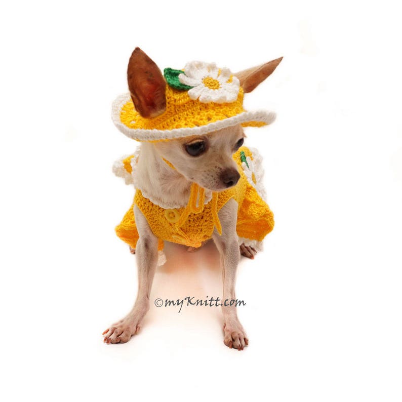 Cute Dog Clothes Yellow Fun Dog Dress Crochet Chihuahua Etsy