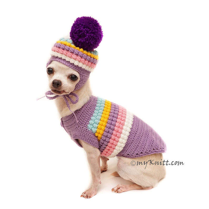 Purple Dog Sweater Crochet Pompom Dog Hat Crochet Pom Pom Etsy