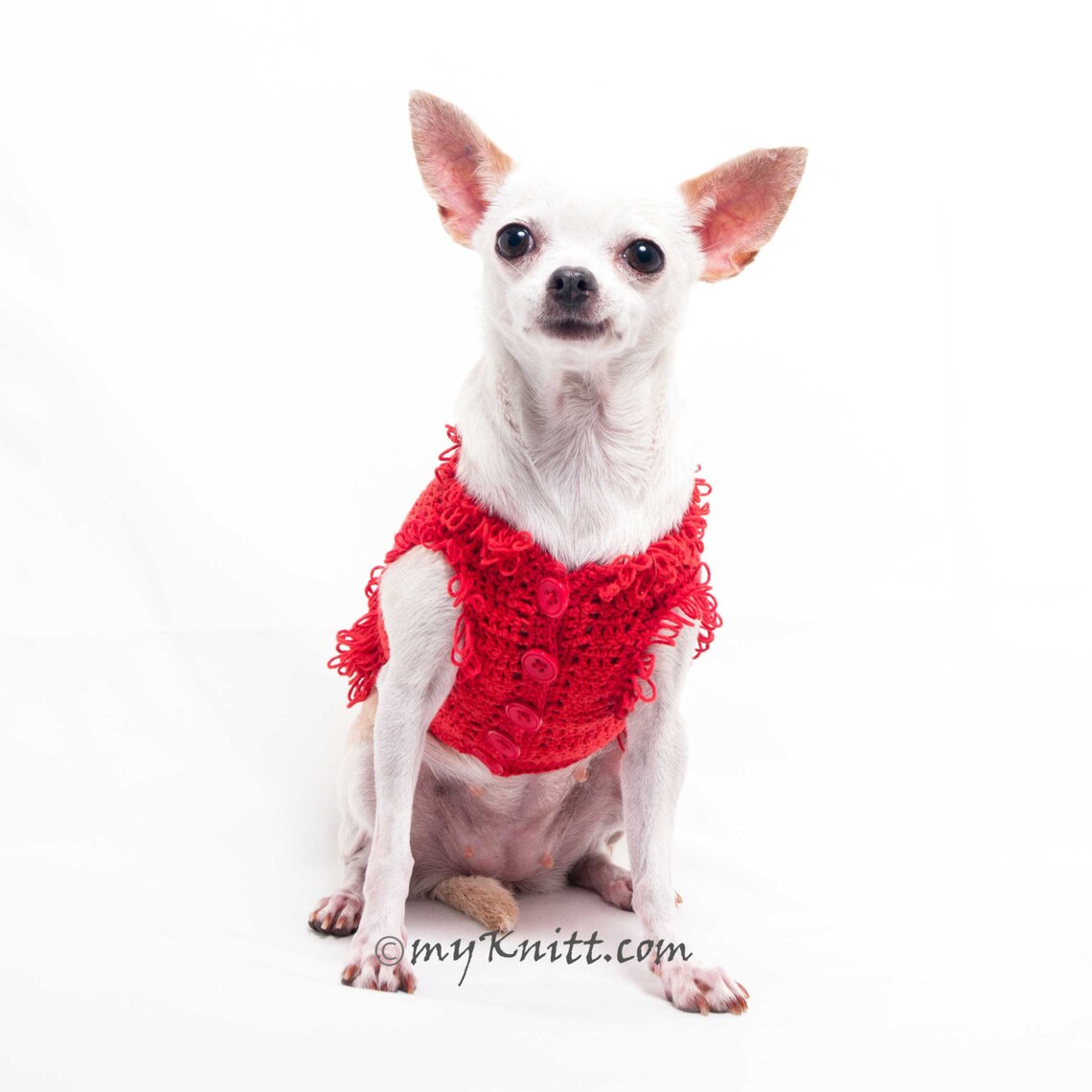 Red Dog Dress for Small Medium Large Dogs Tassels Trim Cat Etsy