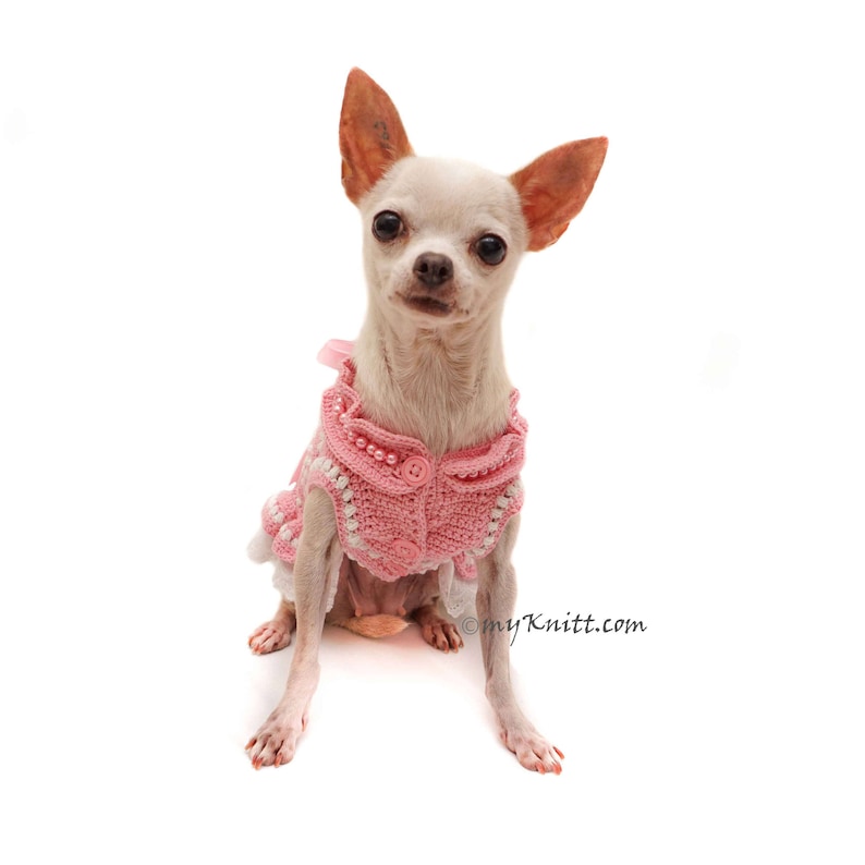 Baby Pink Dog Clothes Lace Lace Dog Dress Hand Crochet Dog Etsy