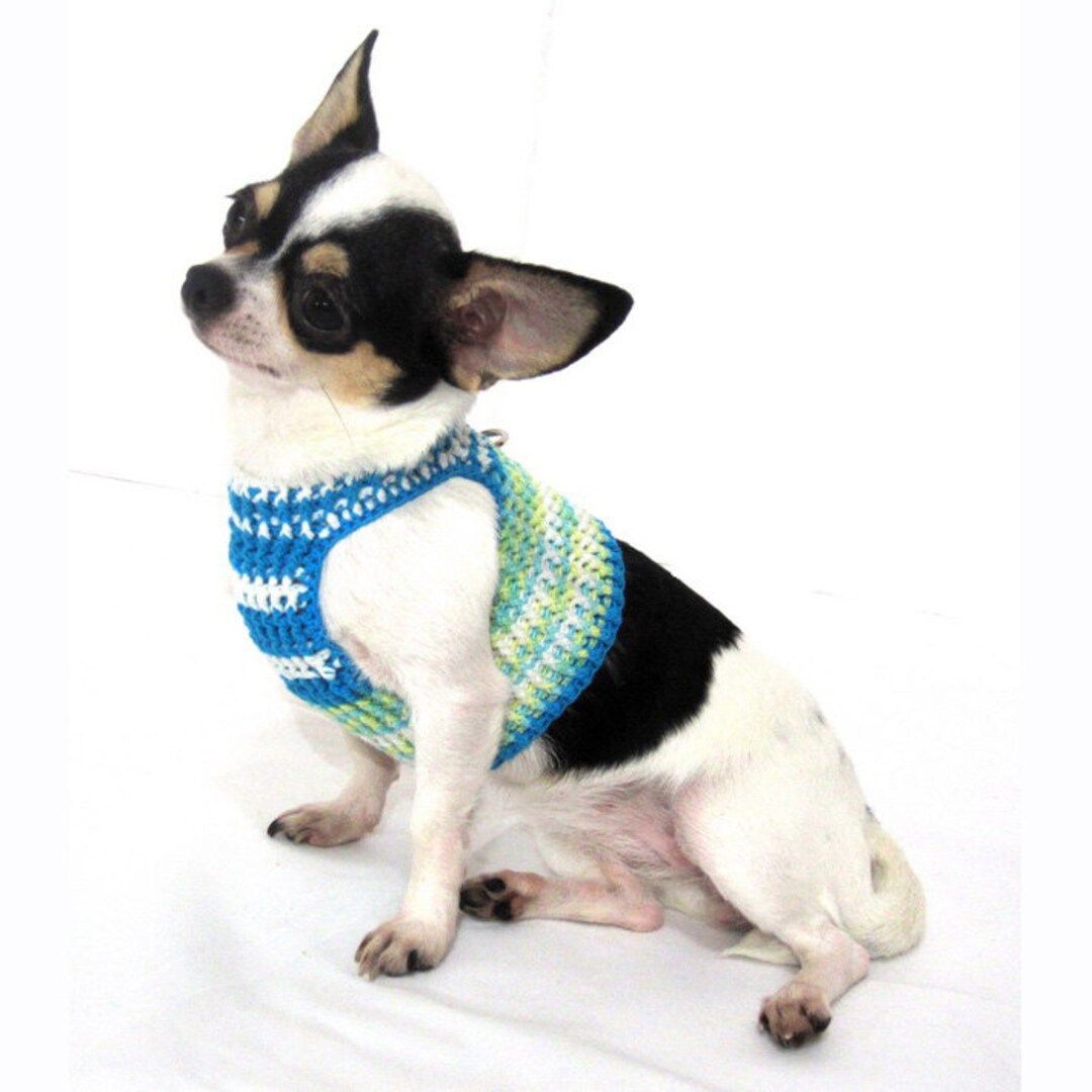 Teal Dog Harness, Choke Free Harness, Chihuahua Harness, Custom Fit Dog