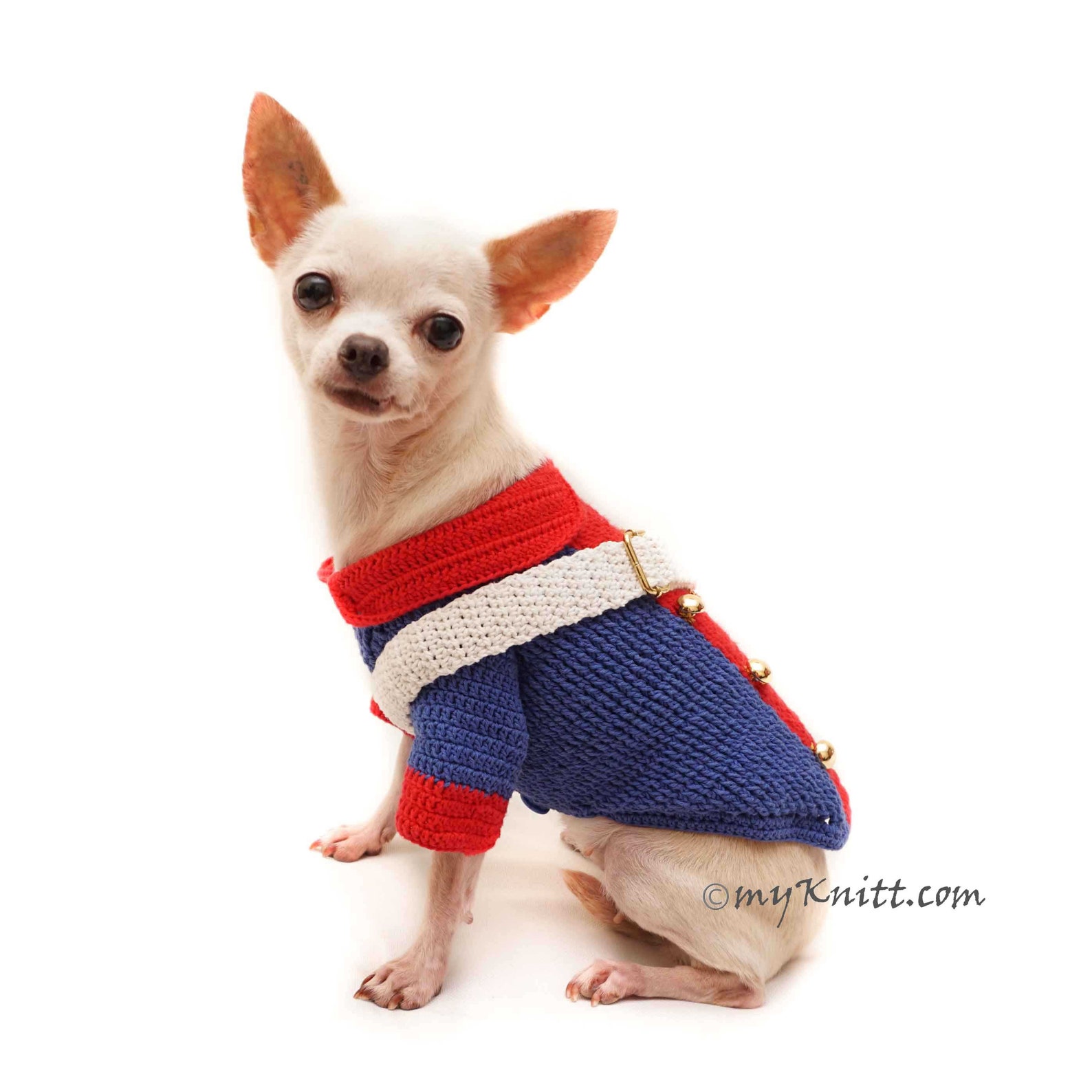diy 4th of july dog outfits