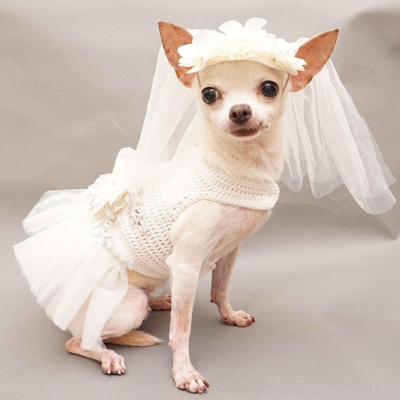 White Bridal Dog Wedding Dress Fancy Dog Bridesmaid Dress Etsy