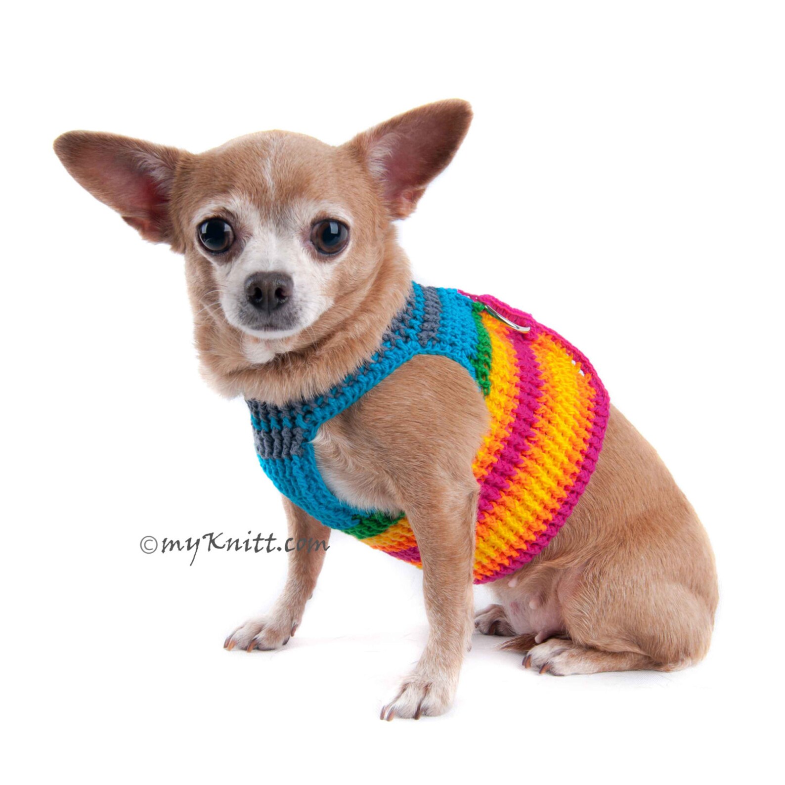 Extra Small Dog Harness Rainbow Colorful Cotton Pet Collar - Etsy