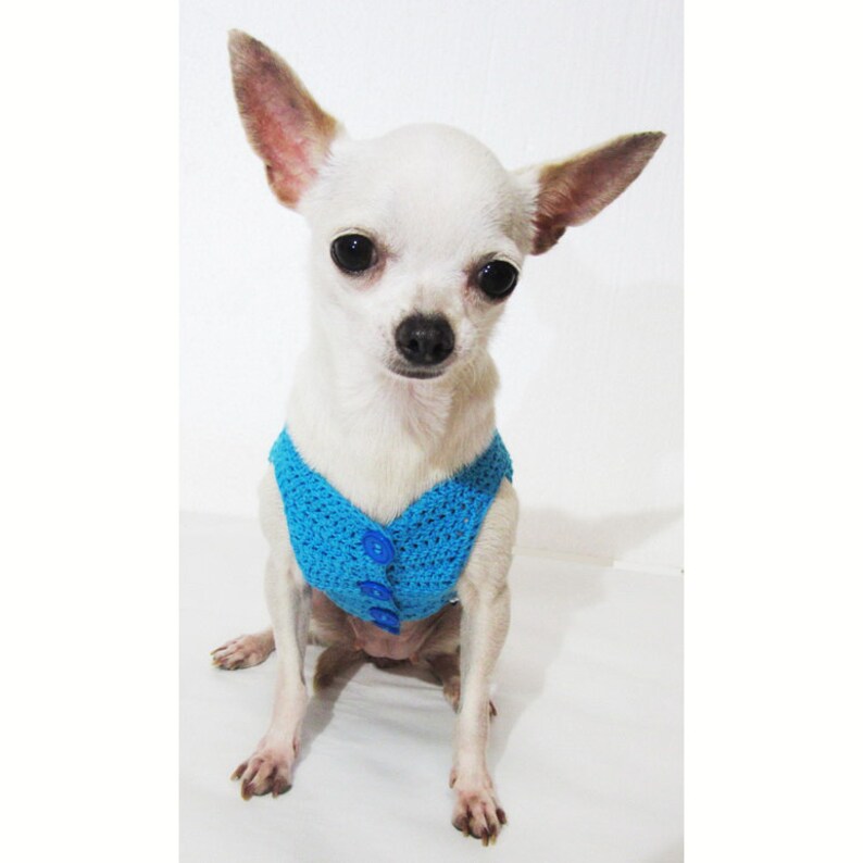 Blue Dog Clothes Unique Pearls Bead Pet Shirts Yorkie Etsy