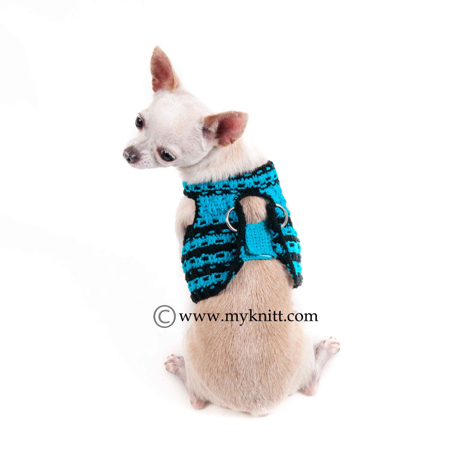 Toy top chihuahua harness
