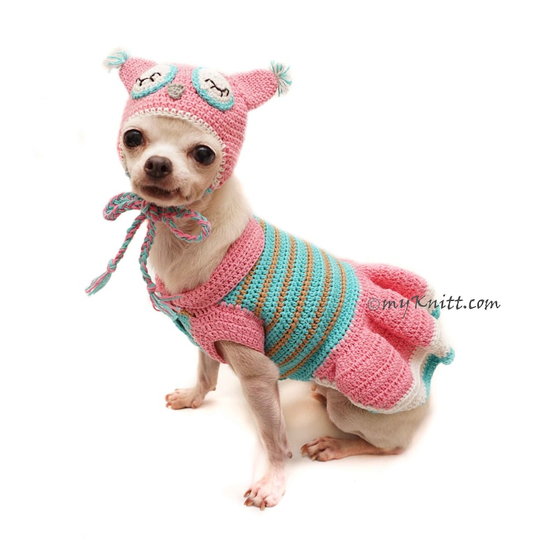 Owl Dog Costume Owl Dog Hat Pink Turquoise Owl Dog Clothes Etsy