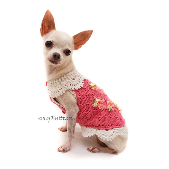 chihuahua sweaters