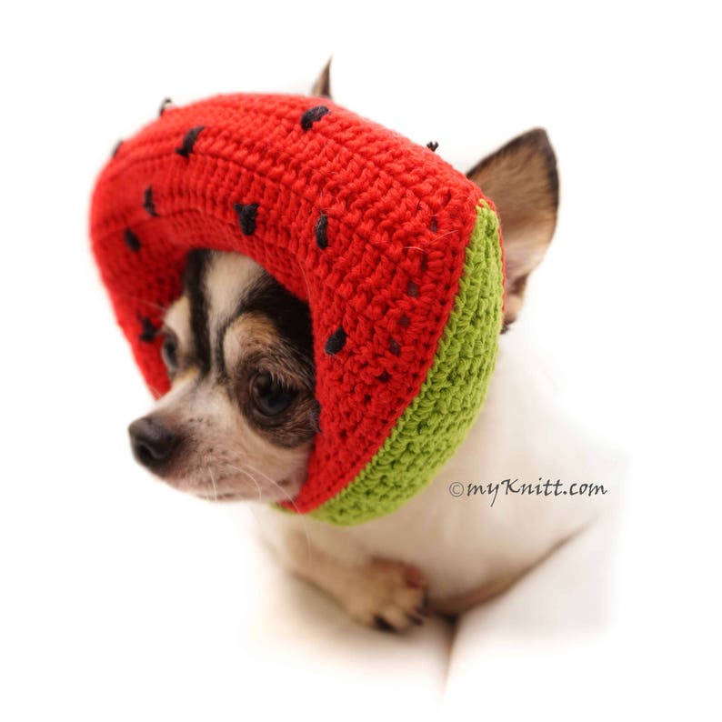 Watermelon Hat Watermelon Crochet Amigurumi Fruit Dog Hat Etsy