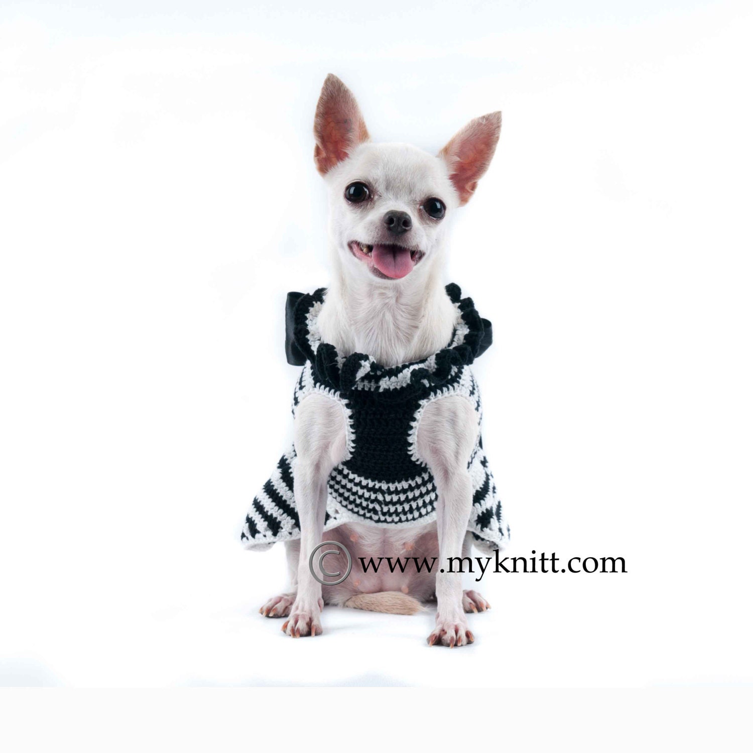 Black and White Dog Dress With Big Ribbon Chihuahua Clothes Etsy