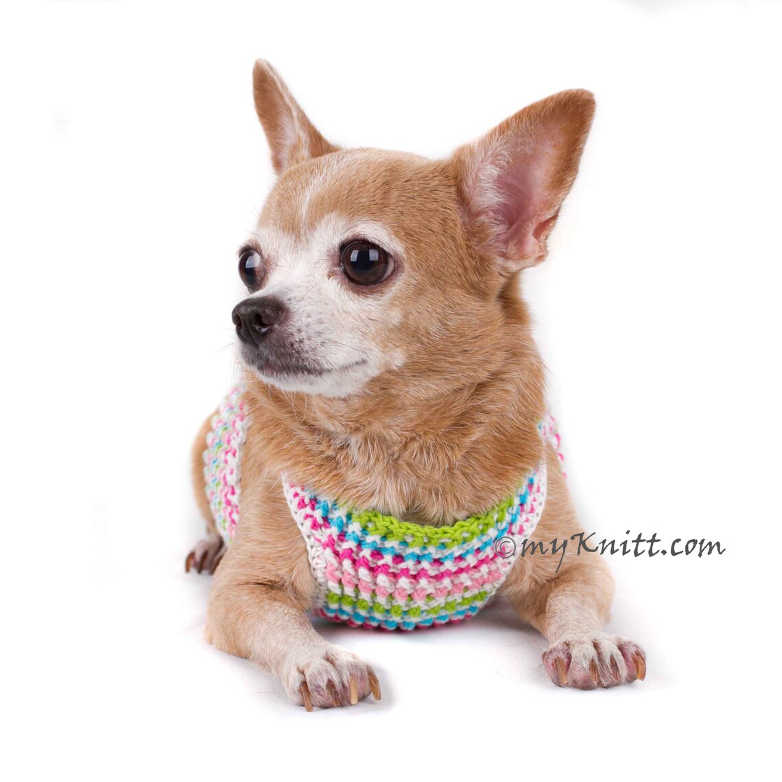 Dog Harness Vest Pink Blue Mint Green Baby Color Dog Harness Etsy