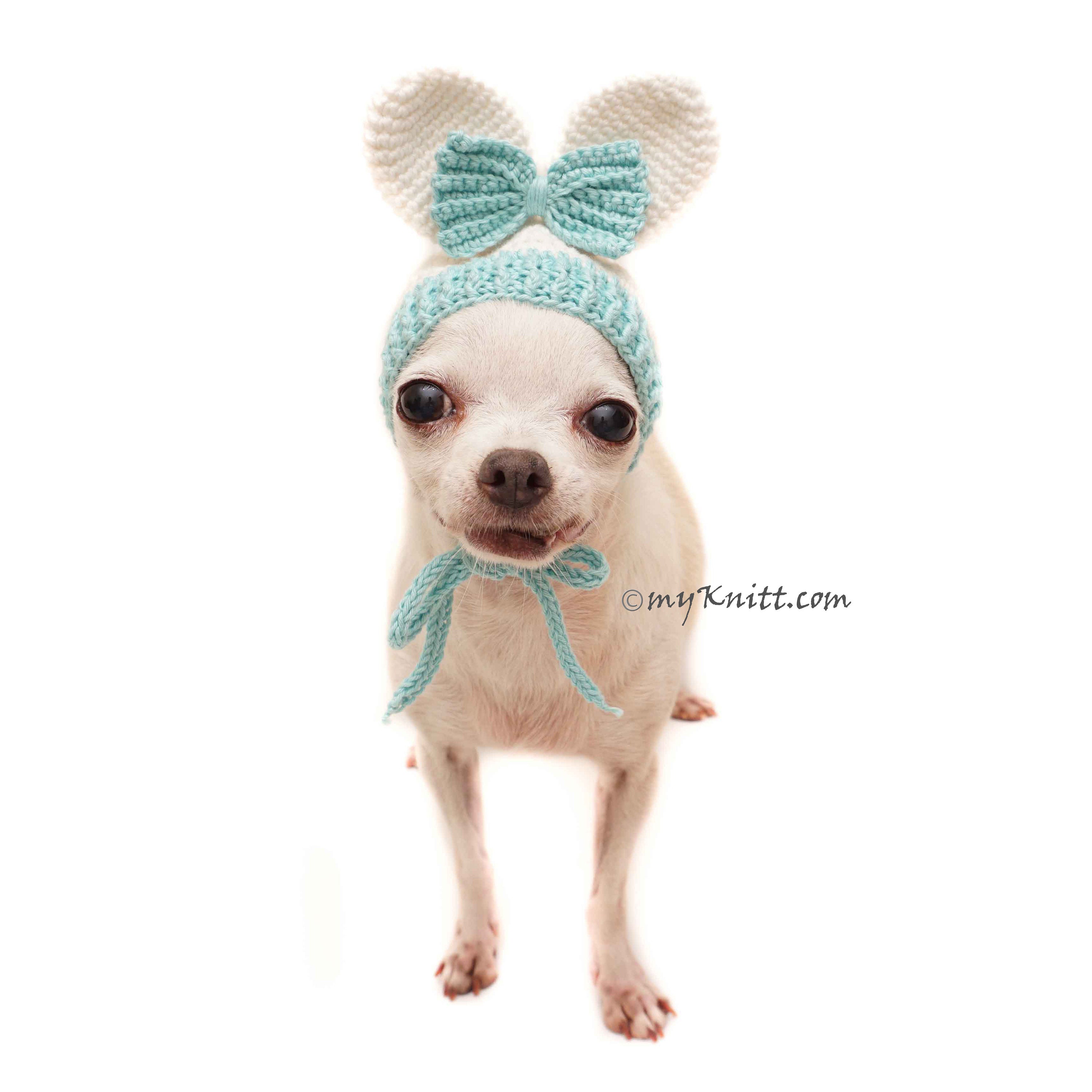 dog hat with ears