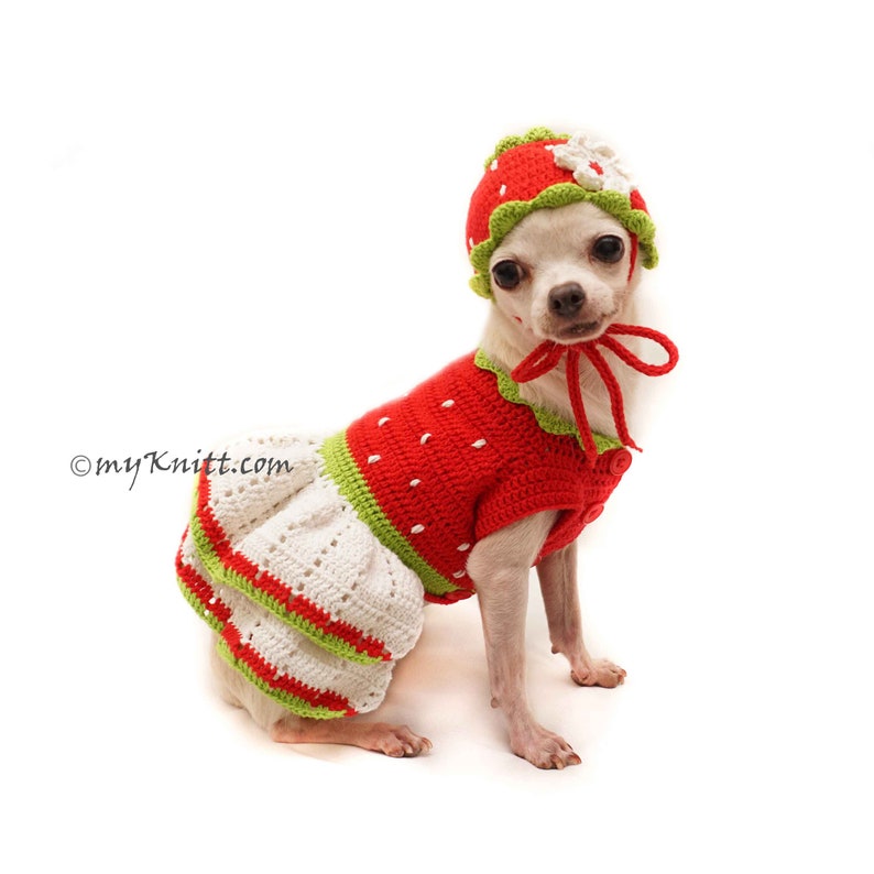 Red Strawberry Dog Costume Strawberry Dog Hat Crochet Etsy