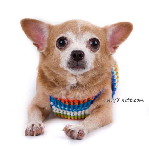 maat Moeras verzekering Chihuahua Tuigje haak hond benutten geen Pull hond Harness - Etsy België