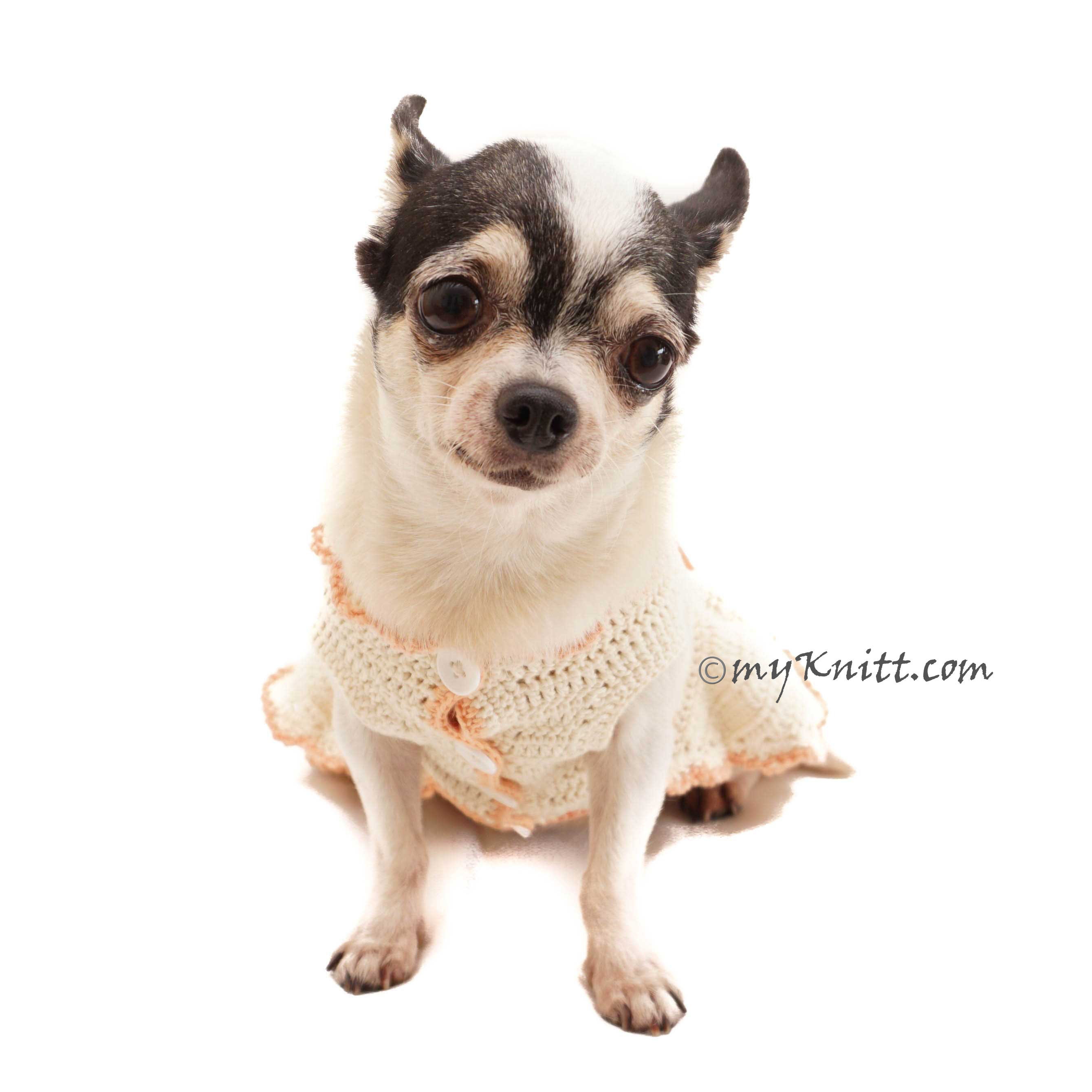 Ivory Dog Flower Girl Dress Ivory Dog Bridesmaid Dress Dog Etsy UK