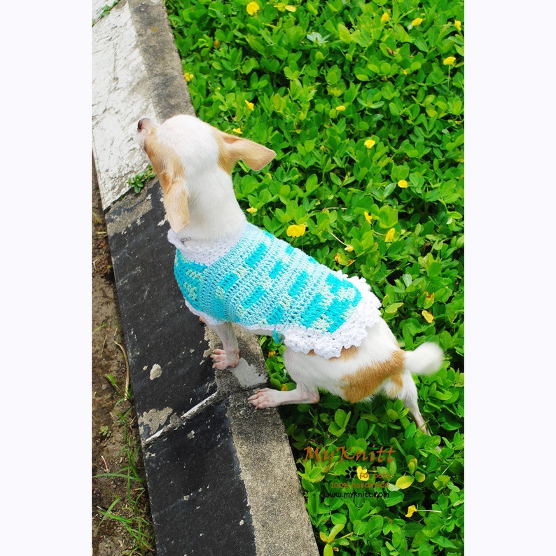 Summer Dog Clothes DK819 Myknitt Dog Coats Small Dachshund Clothes Chihuahua Clothes Turquoise Dog Dress Teal Dog Clothes Crochet