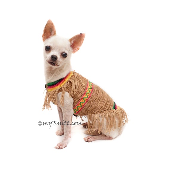 Dog Indian Costume