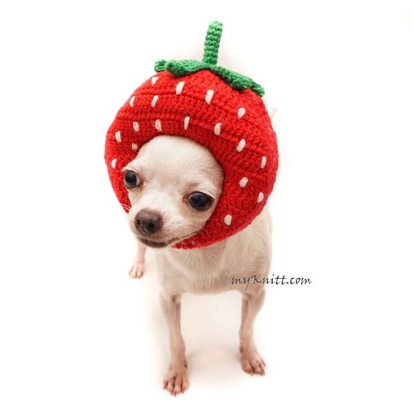 Strawberry Hat, Strawberry Crochet Amigurumi Fruit, Crochet Dog Hats, Funny Dog Costume, Cat Costume, Chihuahua DB12 Myknitt - Free Shipping