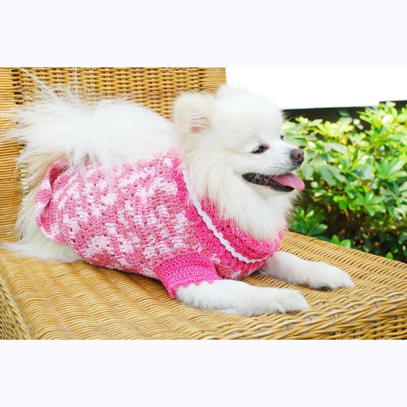 Pink Dog Dress Cute Pet Clothing Teacup Dog Clothes Chihuahua Etsy