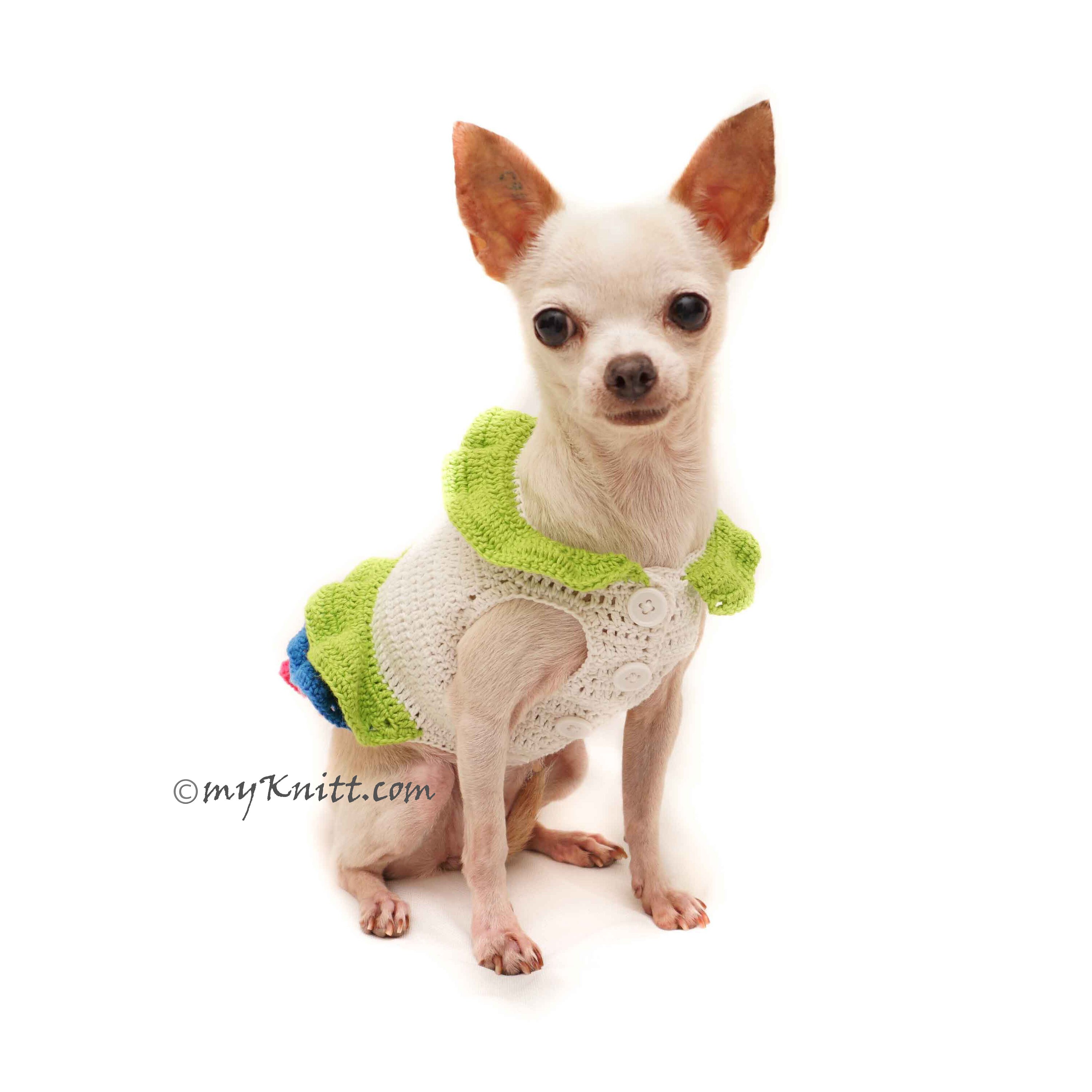 Dog Dress Crochet Rainbow Colorful Dog Dress Flower | Etsy