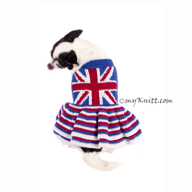 Union Jack Dog Dress, British Flag Dog Clothing, Dog Clothes Small, Chihuahua Clothes, Dog Clothes Large, Custom, DK790 Myknitt Free Ship 