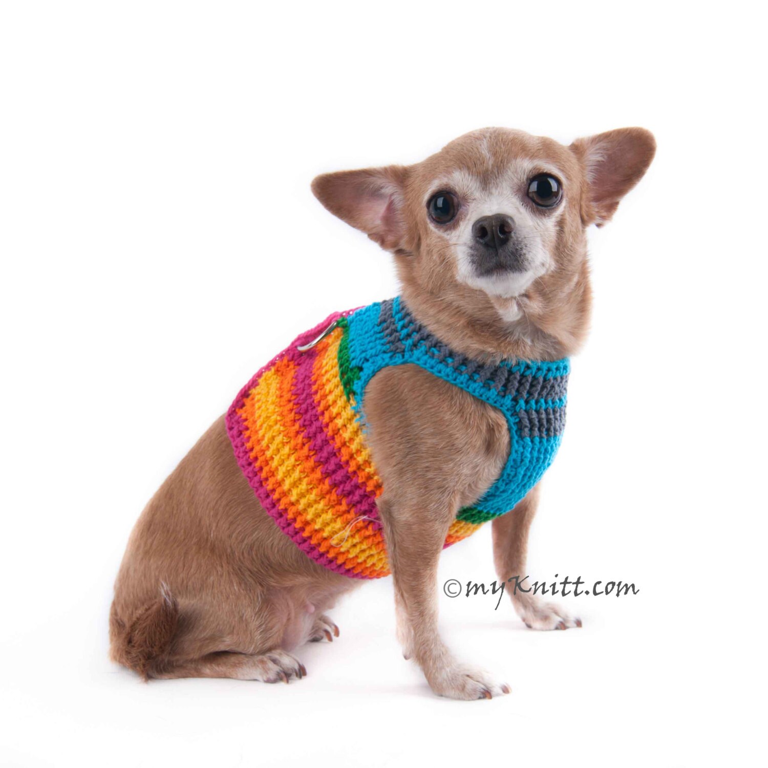 Extra Small Dog Harness Rainbow Colorful Cotton Pet Collar - Etsy