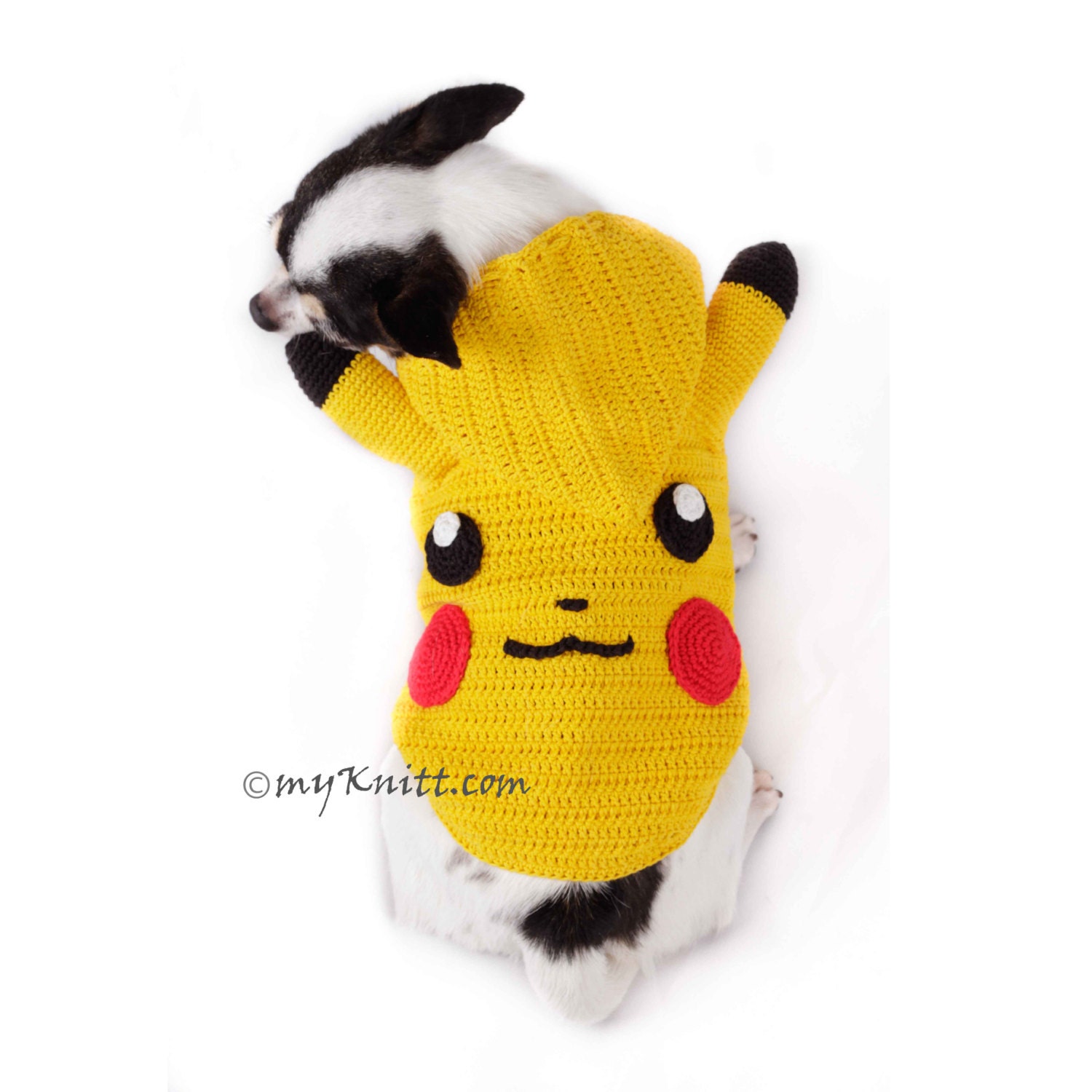 Pikachu puppy costume cheap
