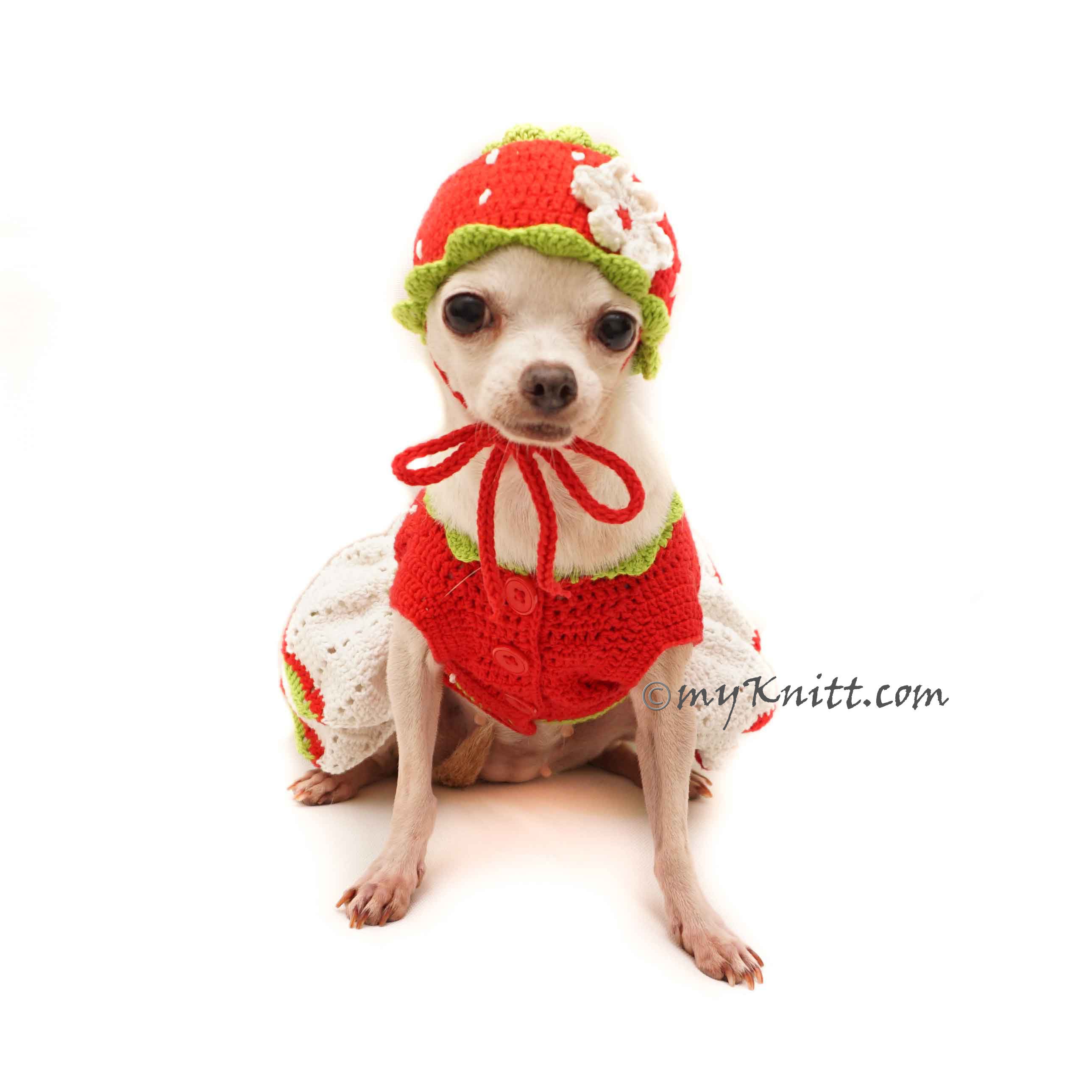 Red Strawberry Dog Costume Strawberry Dog Hat Crochet Etsy