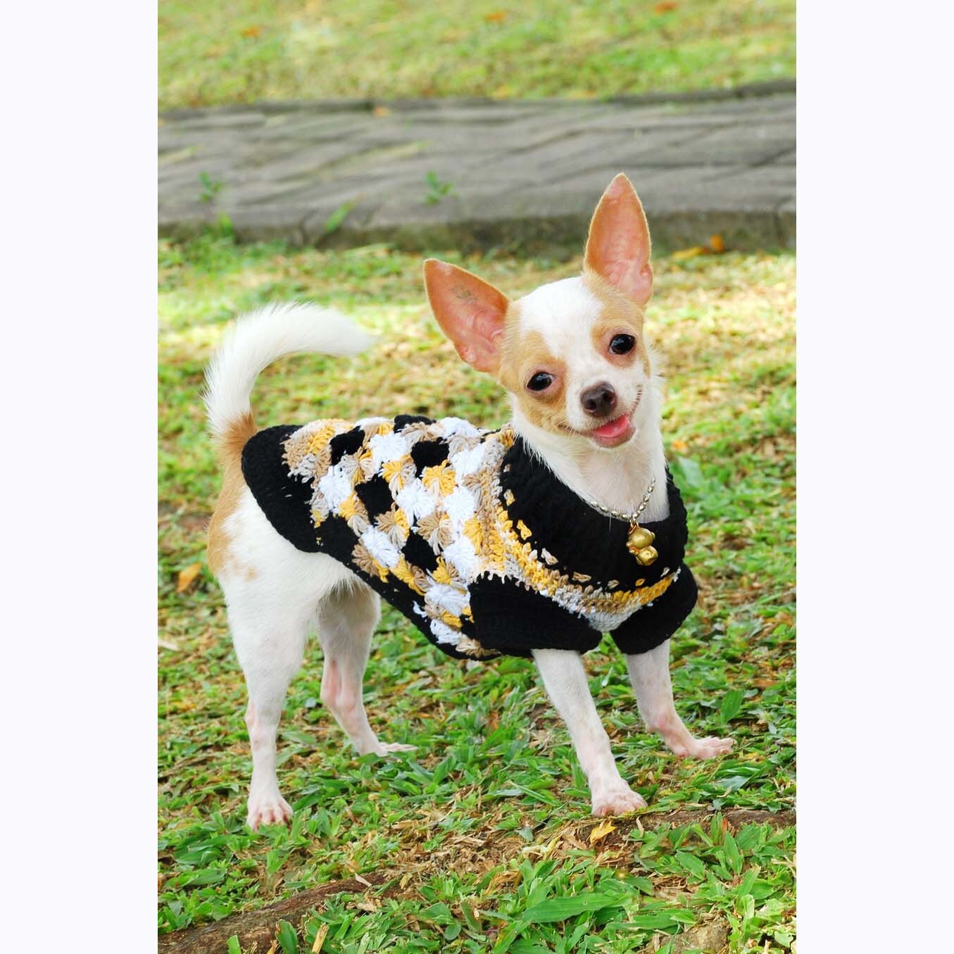 unique dog clothes