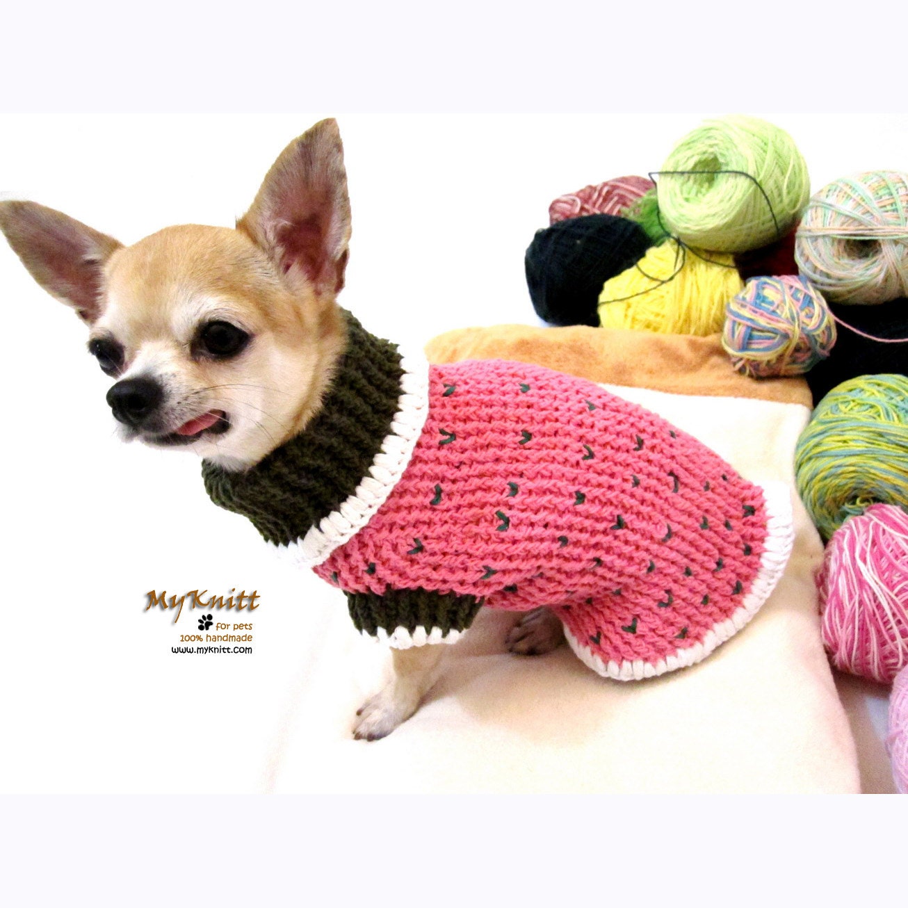 Strawberry Shortcake Dog Sweater Crochet Dog Clothes Dog | Etsy