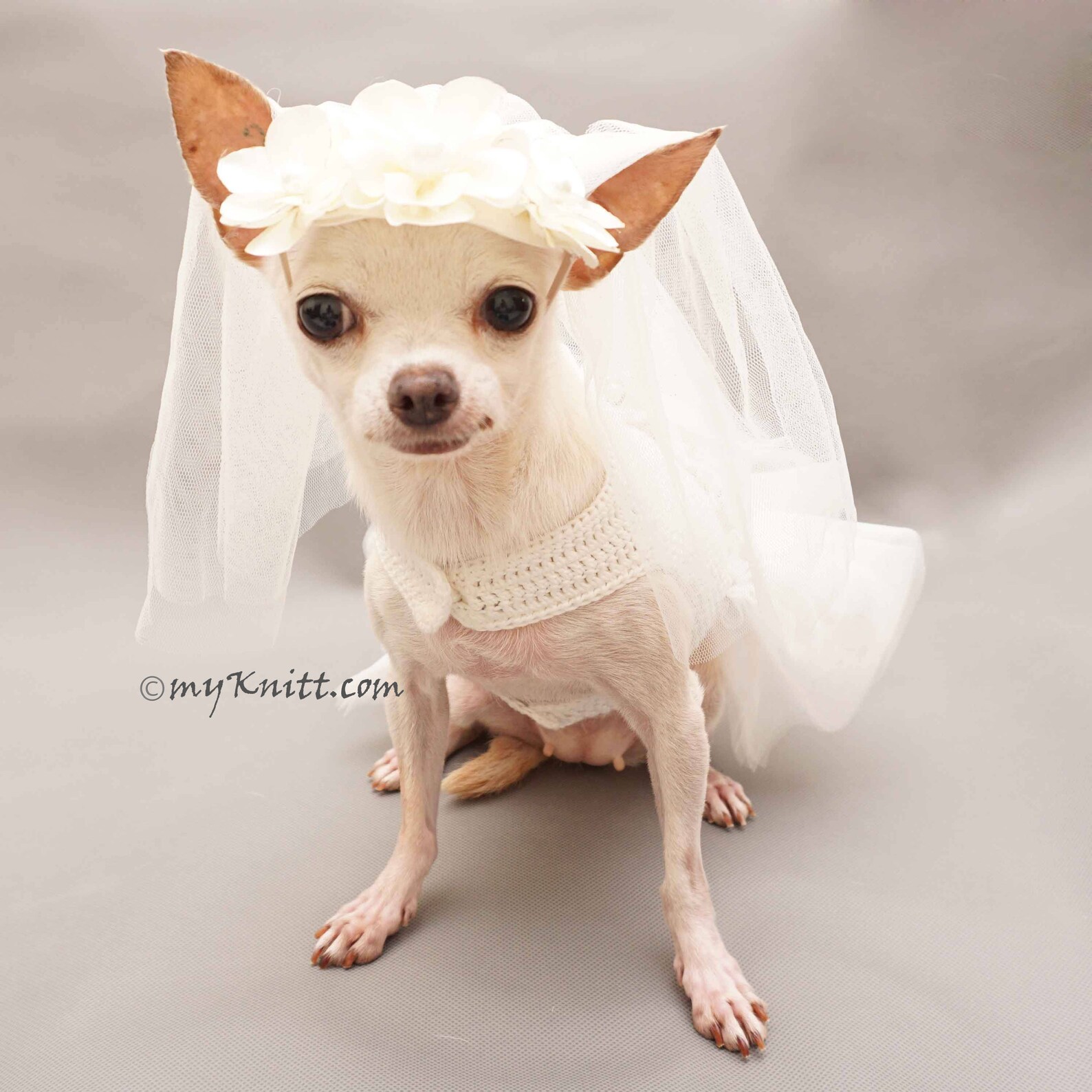 White Bridal Dog Wedding Dress Fancy Dog Bridesmaid Dress Etsy