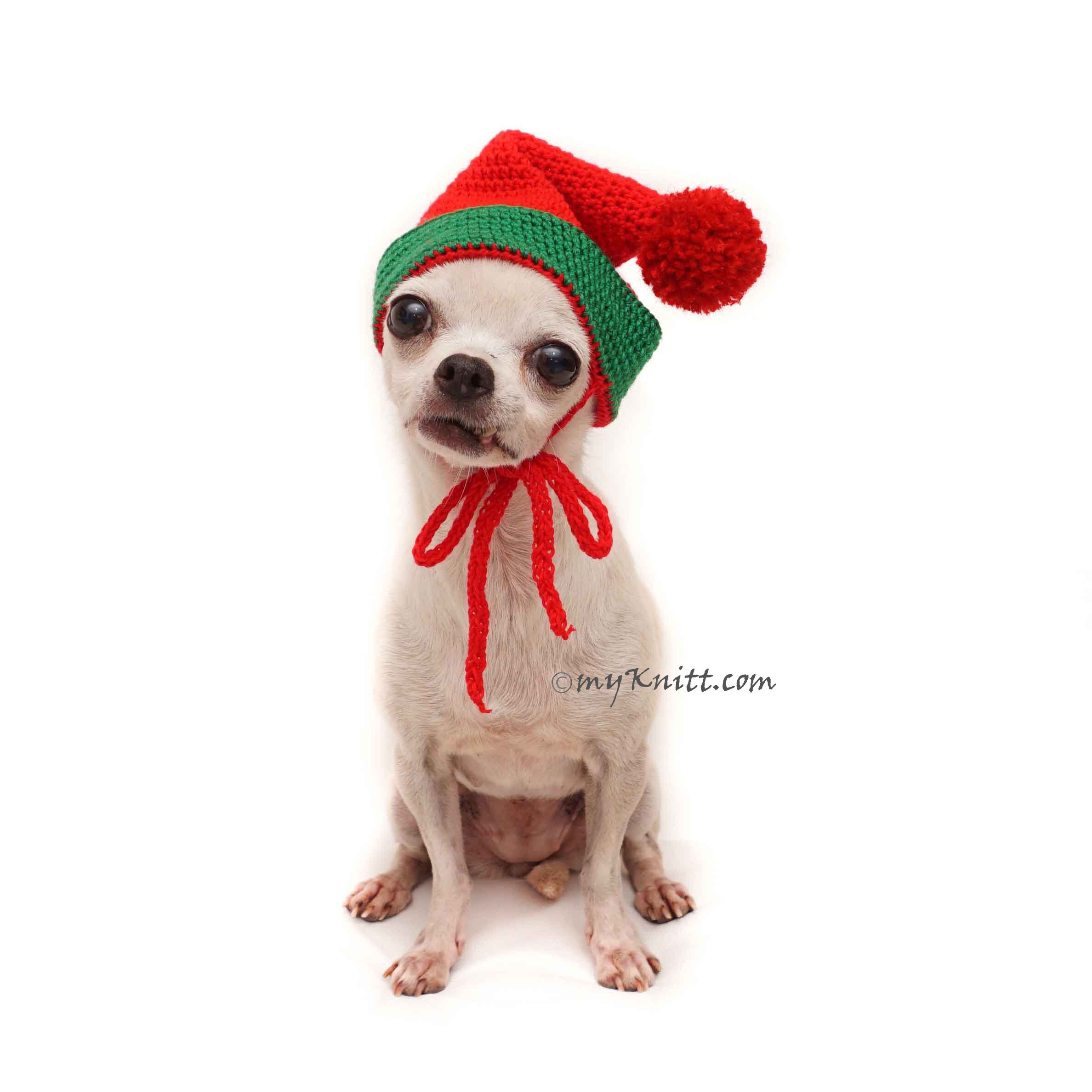 Santa Dog Hat Crochet Santa Dog Hat Pom Pom Elf Dog Hat Etsy